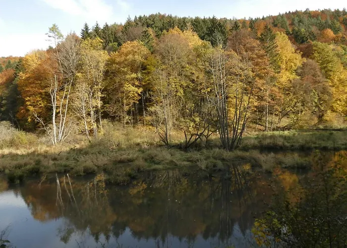 Goldener Fuchs In Moschendorf Gossweinstein