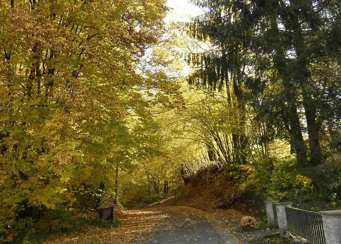 Goldener Fuchs In Moschendorf Gossweinstein