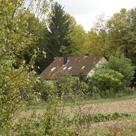 Goldener Fuchs In Moschendorf *