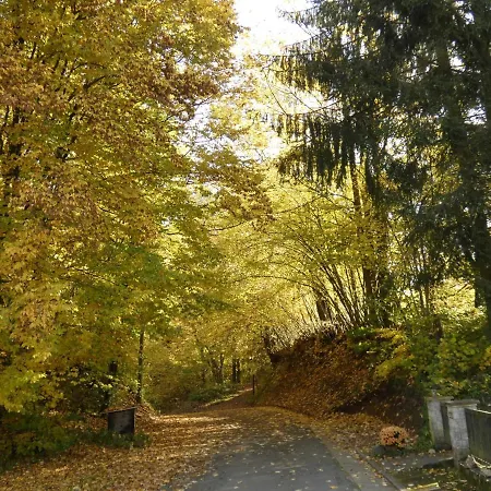 Goldener Fuchs In Moschendorf غوسوينستين