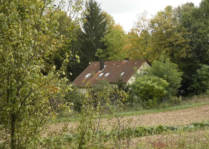 Goldener Fuchs In Moschendorf *